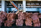 Copper price extends rebound on hopes for US rate cuts, China stimulus