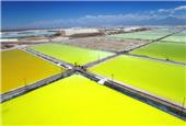 Tianqi to keep fighting for say in SQM lithium deal