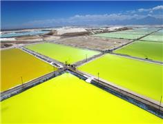 Tianqi to keep fighting for say in SQM lithium deal