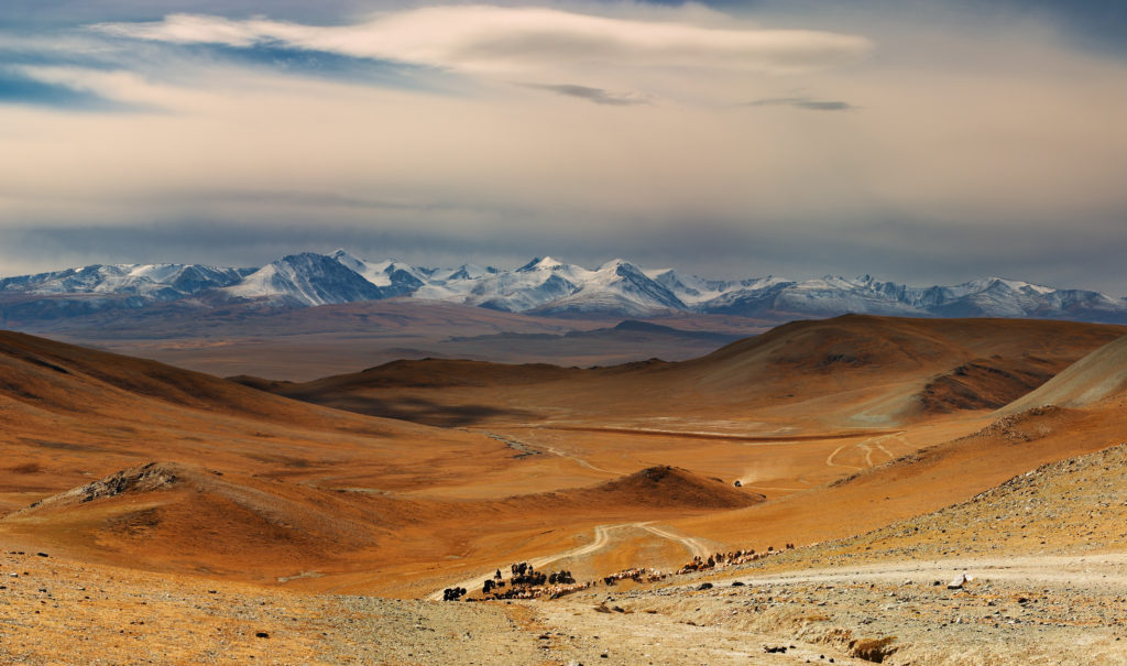 Mongolia, The news source of minerals for Germany