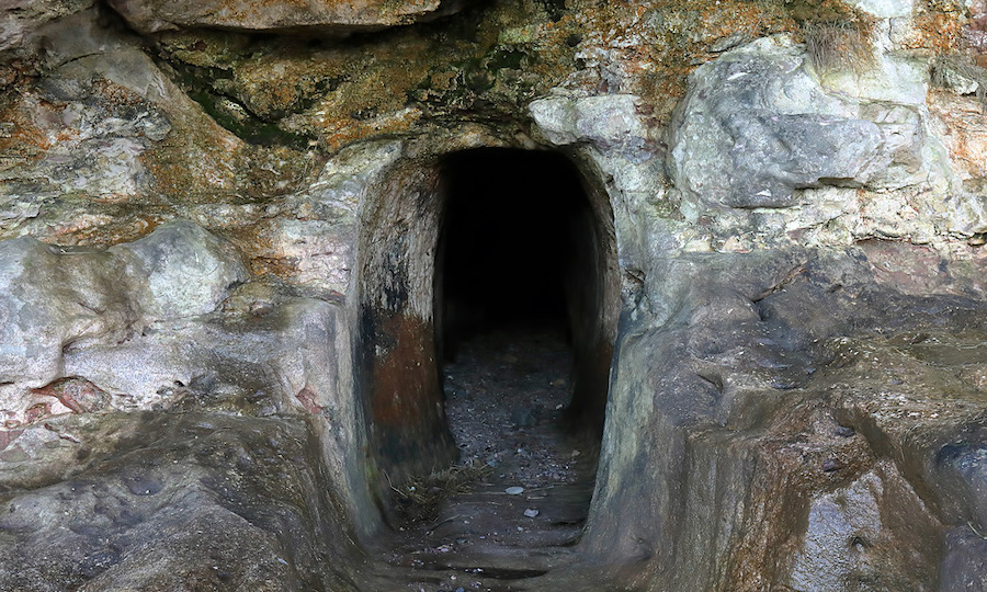 Scottish bacteria may help clean up acid mine drainage