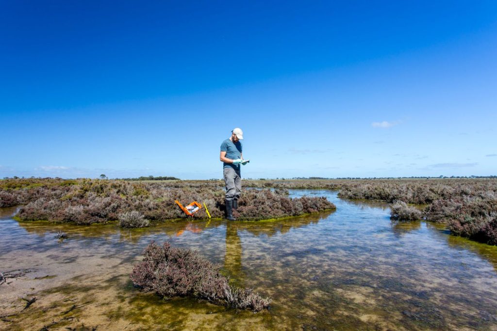 Critical minerals targeted as Australia boosts resource hunt