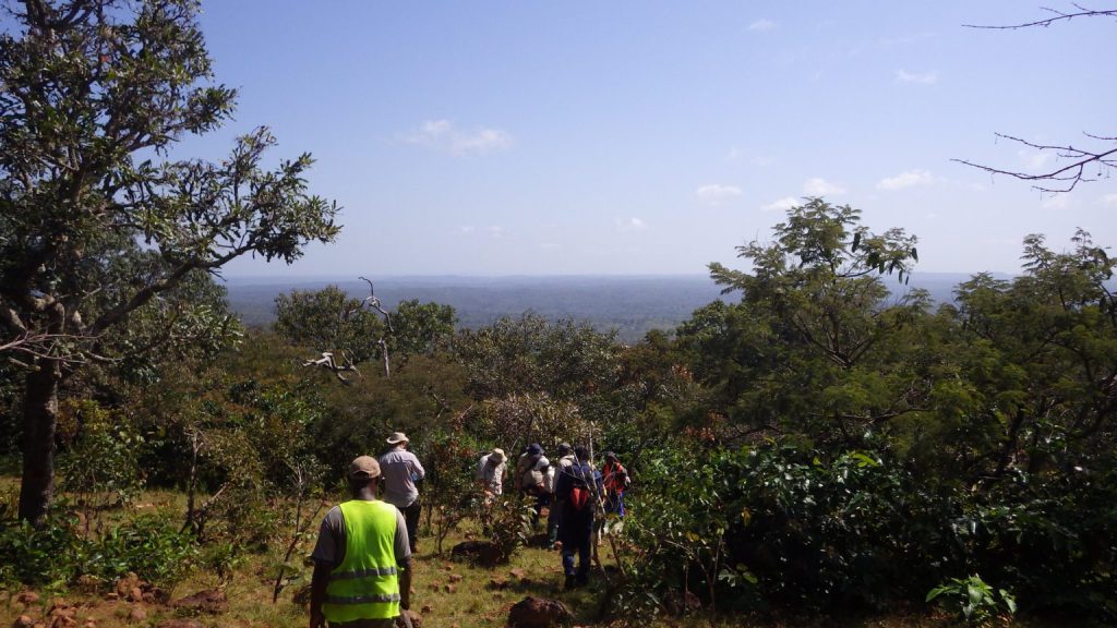 Cameroon signs bauxite deal with Canyon Resources