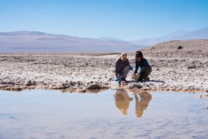 Argentina’s lithium hunters scale back as EV shift slows