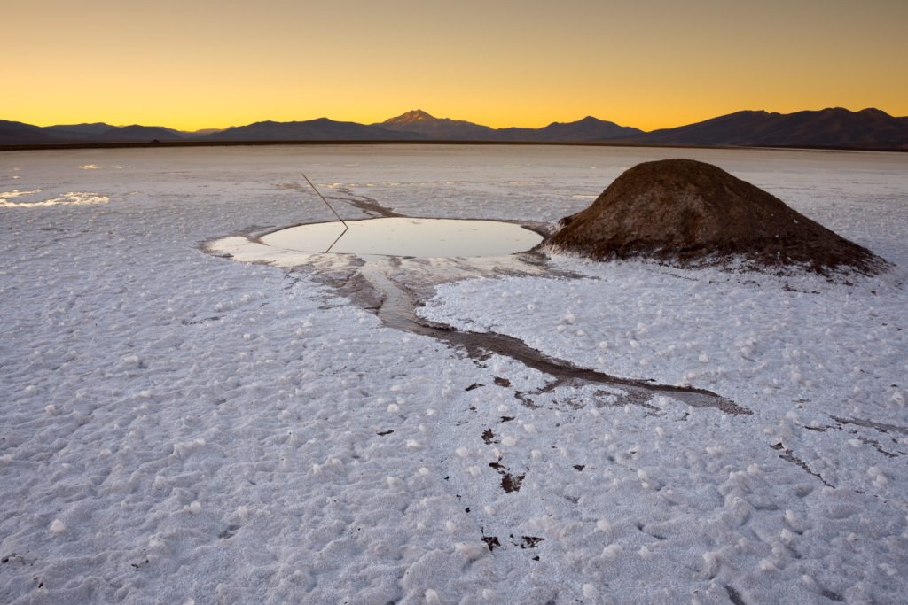 Chile’s rare salt flat fish face threat from lithium mining project