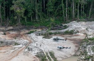 Indigenous mining complicates Brazil’s fight against illegal gold