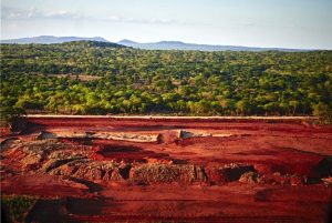 Gemfields pauses Mozambique operation amid political unrest